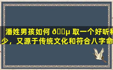 潘姓男孩如何 🌵 取一个好听稀少，又源于传统文化和符合八字命理的名字